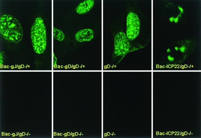 FIG. 8