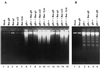 FIG. 7