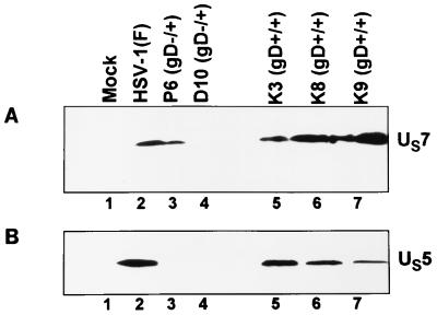 FIG. 5