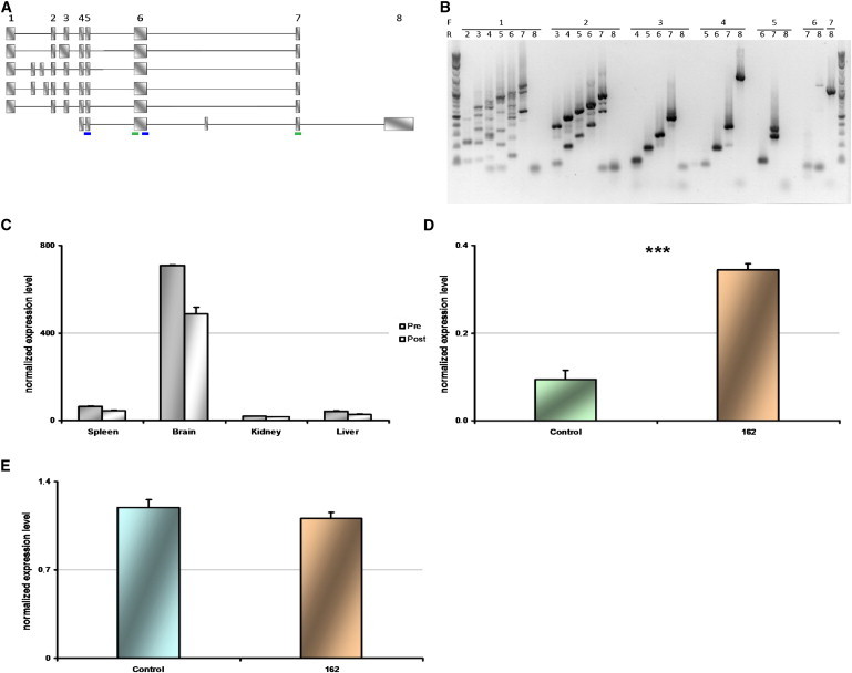 Figure 3