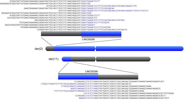 Figure 1