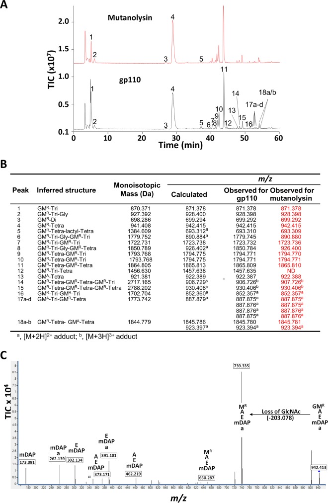 FIG 4