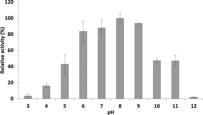 FIG 1