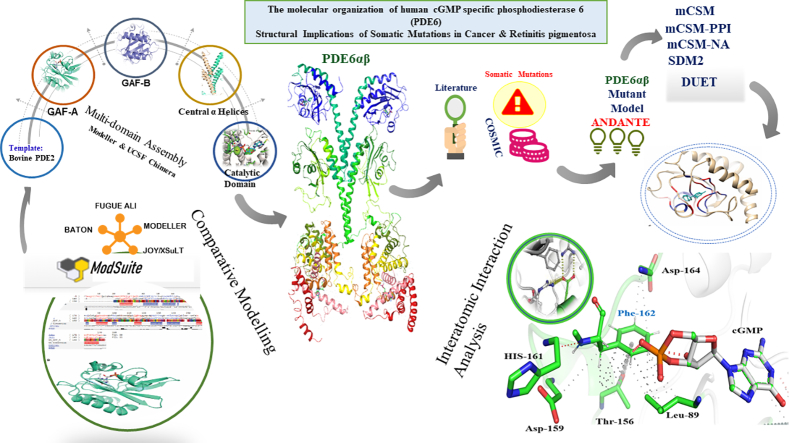 Unlabelled Image