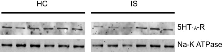 Figure 10.