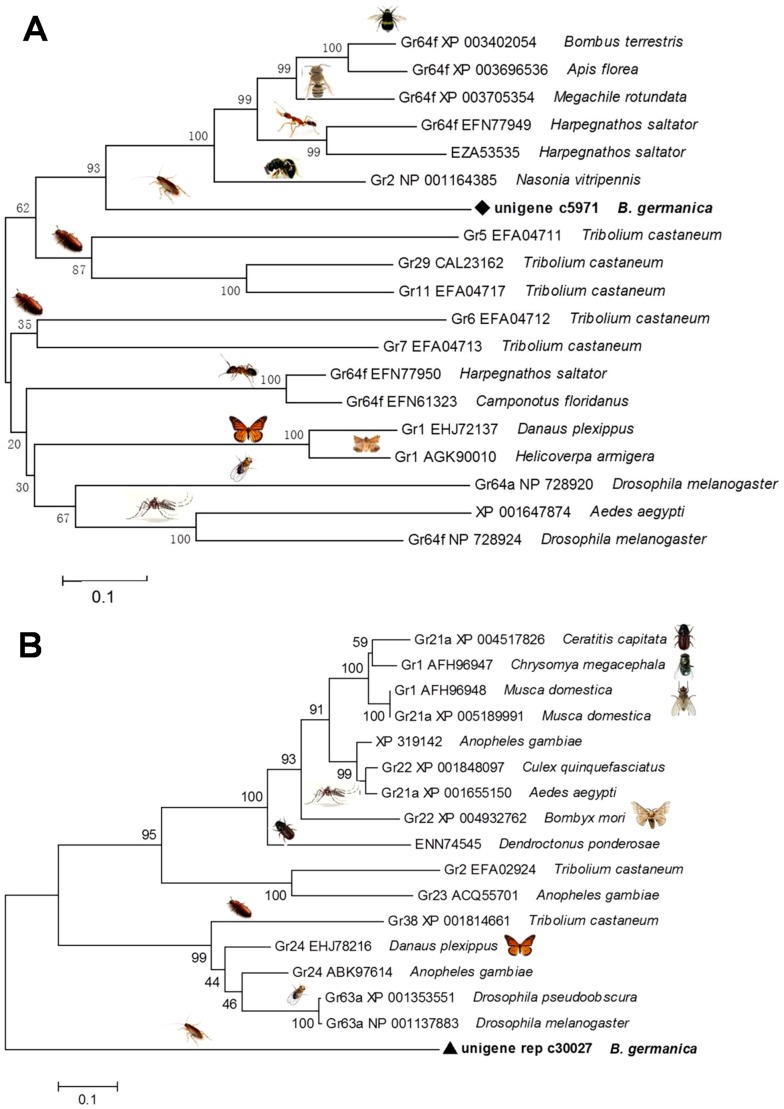 Figure 6