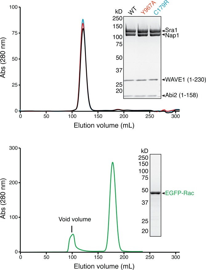 Figure 4—figure supplement 1.