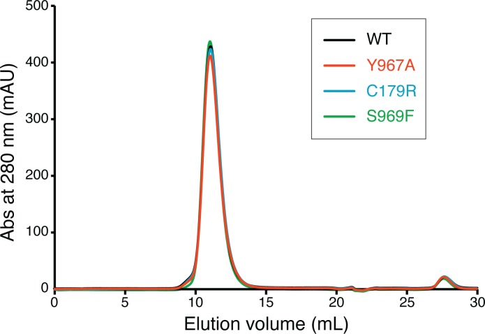 Figure 6—figure supplement 1.