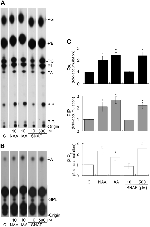 Figure 2.