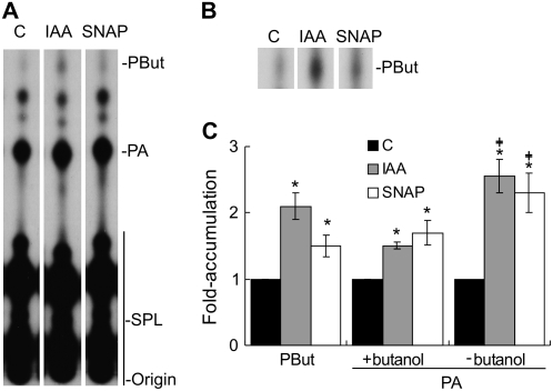 Figure 5.