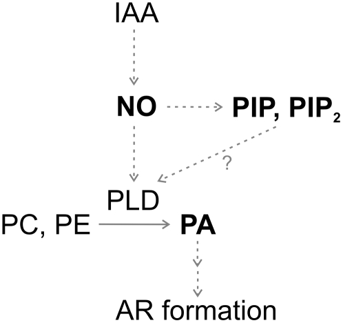 Figure 7.