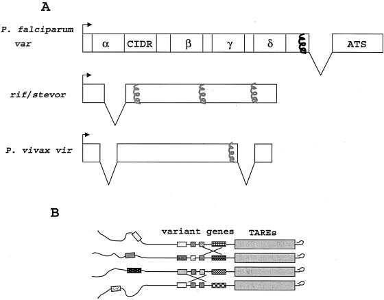 FIG. 3.