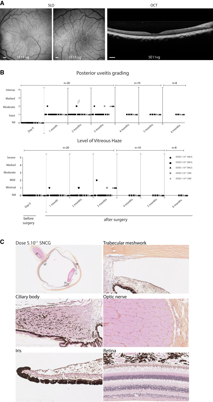 Figure 3