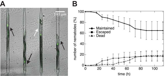 FIG 3 