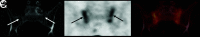 FIG 9.