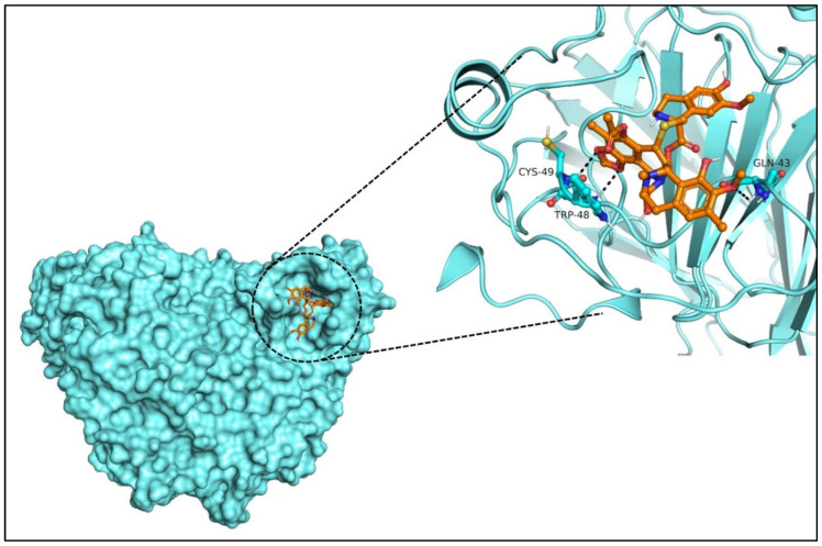 Figure 7