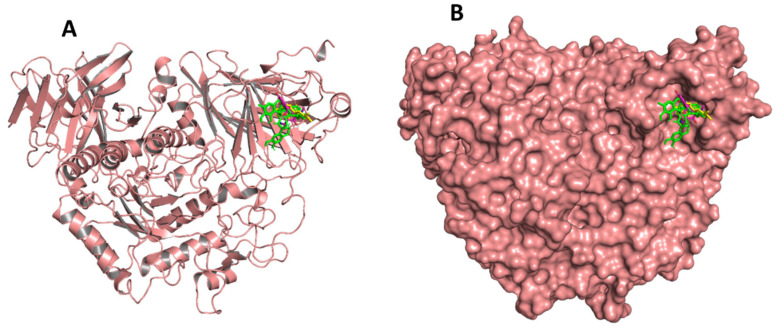 Figure 10