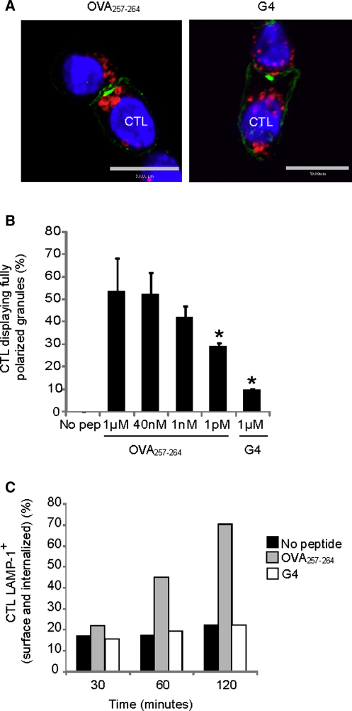 Figure 7