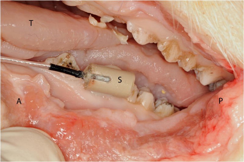 Figure 3