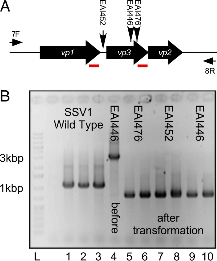 FIG 3