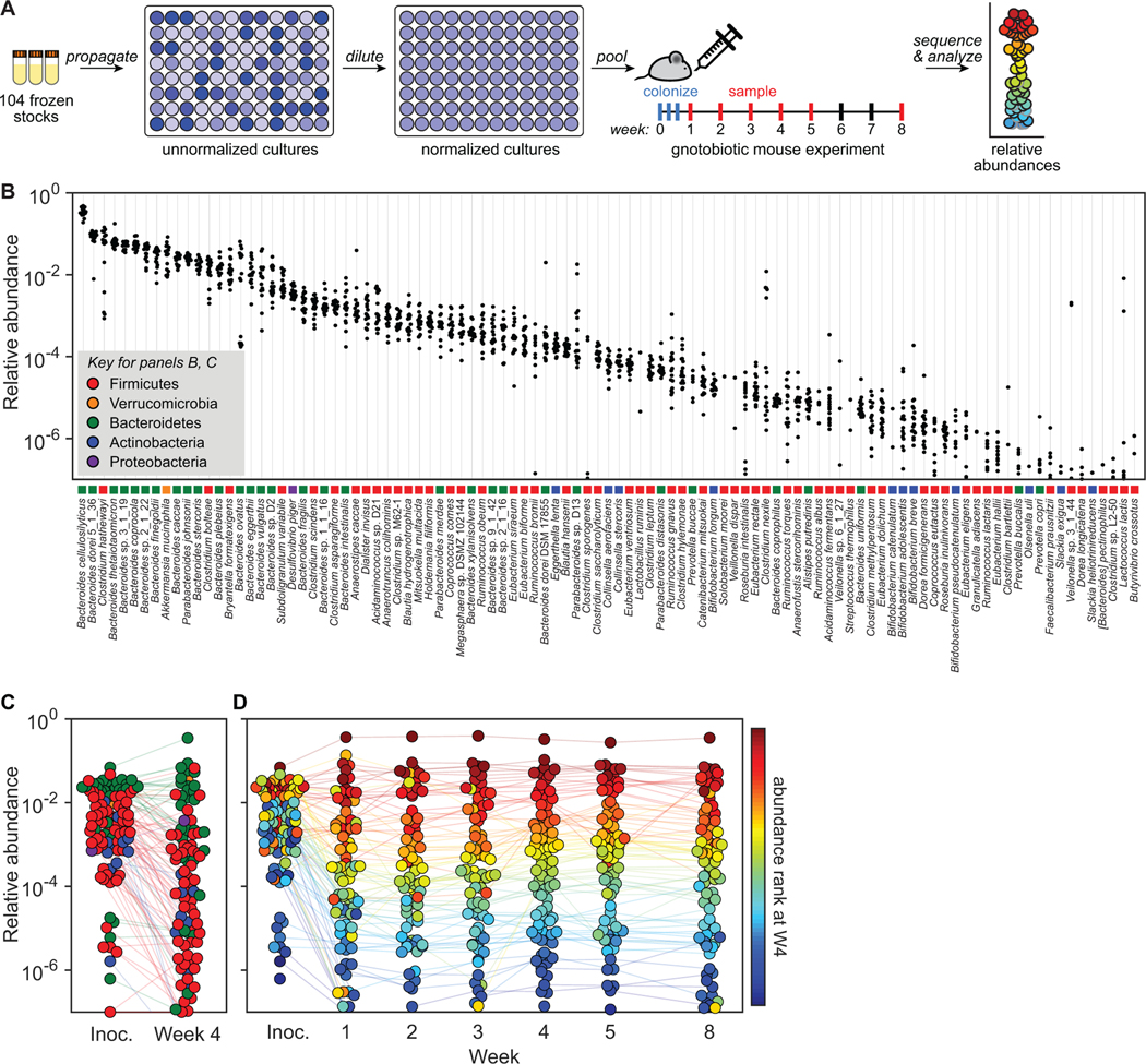 Figure 3: