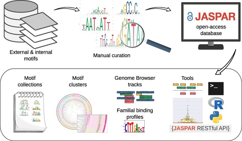 Graphical Abstract