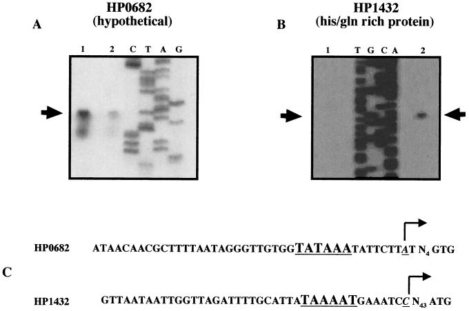 FIG. 4.