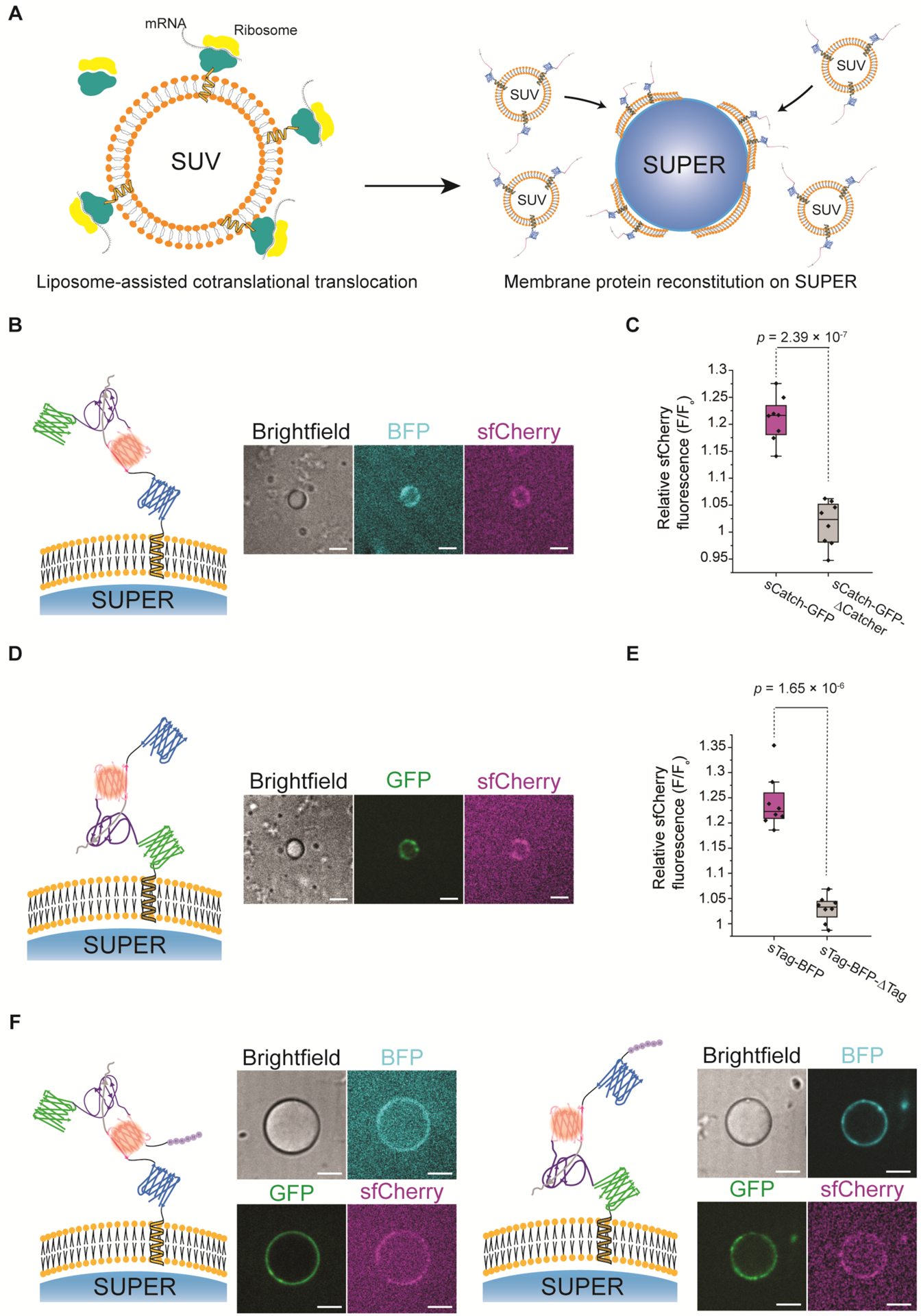 Figure 3: