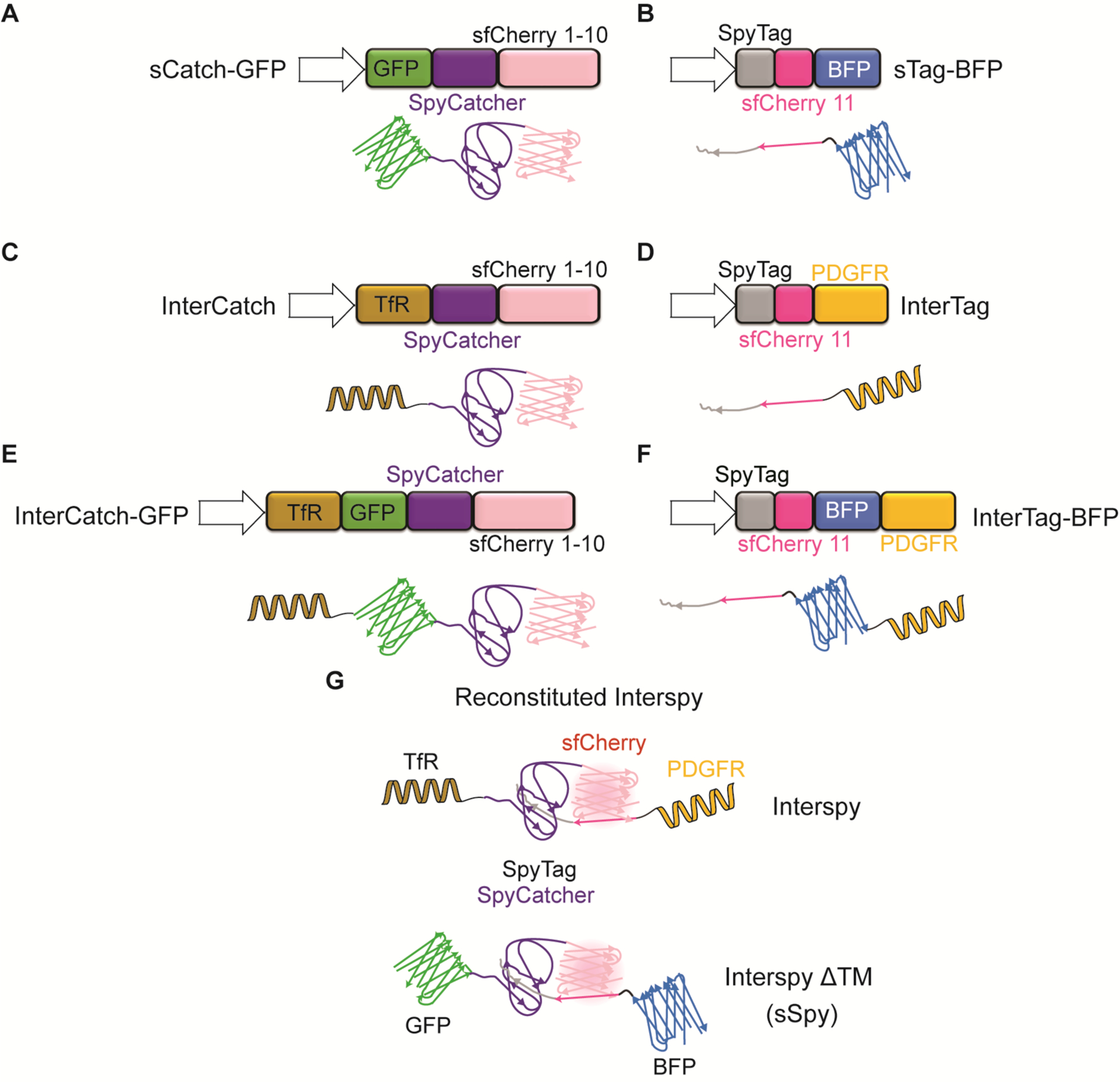 Figure 1: