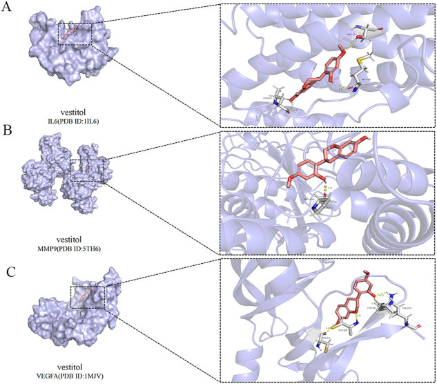 Figure 6.