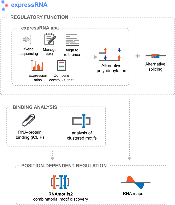 Figure 1