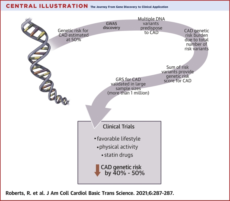 Central Illustration