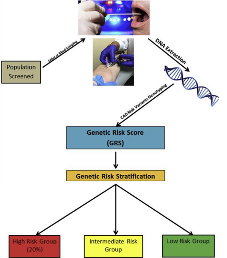 Figure 2