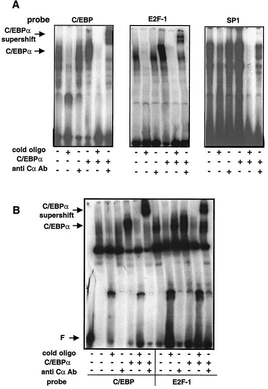 FIG. 7