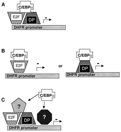 FIG. 11