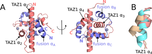 Figure 2.