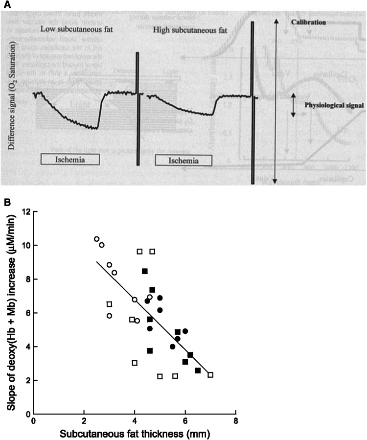 Fig. 4