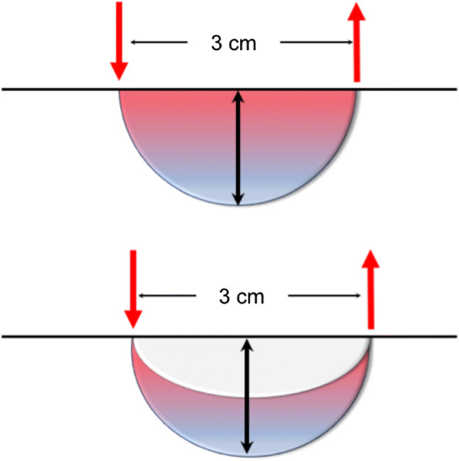 Fig. 3