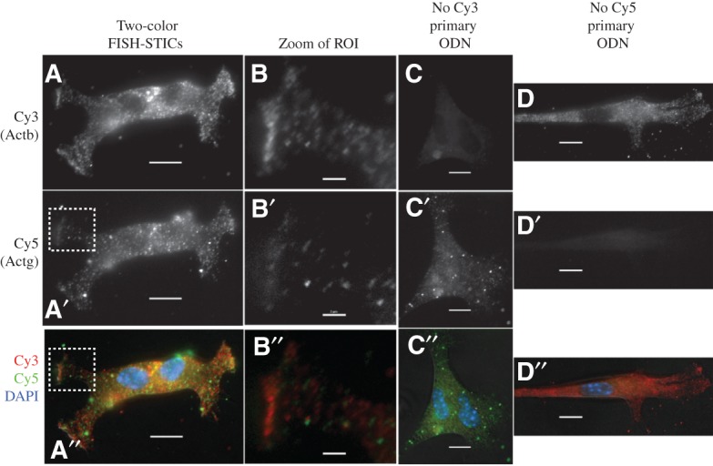 FIGURE 3.