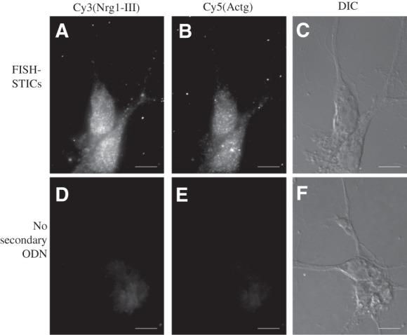 FIGURE 6.