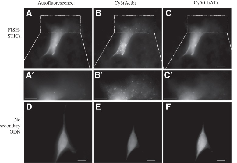 FIGURE 4.