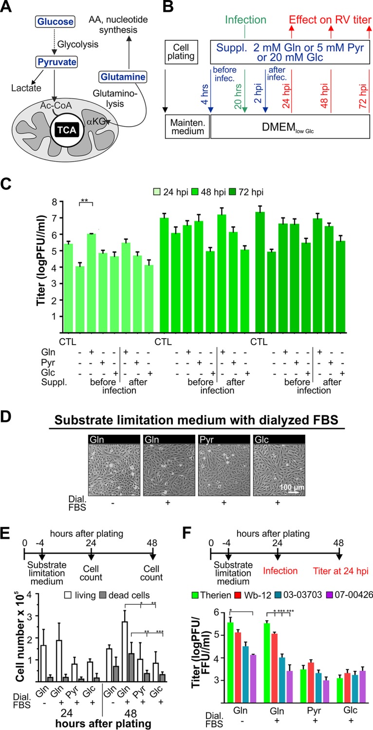 FIG 2