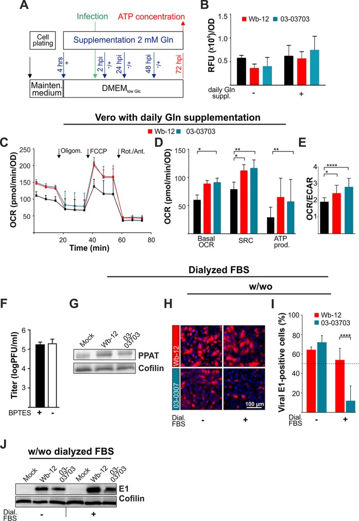 FIG 6