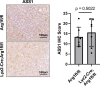 Figure 4—figure supplement 2.