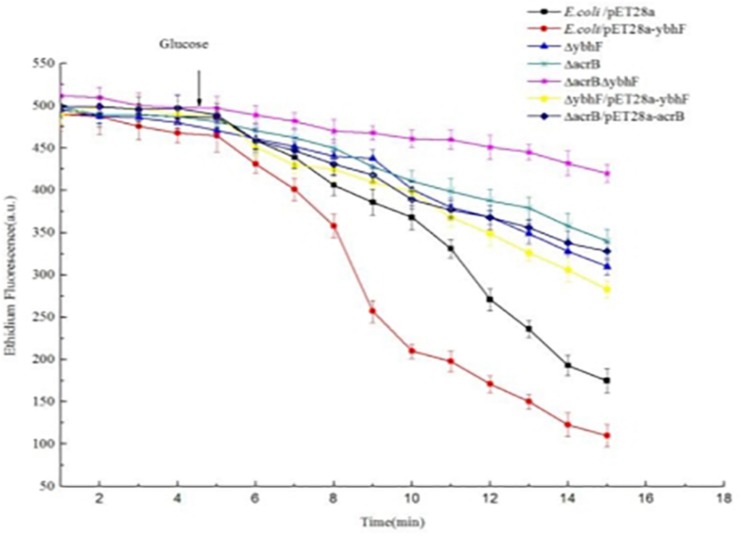 FIGURE 4