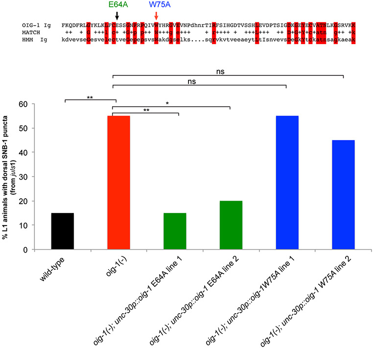 Extended Data Figure 7: