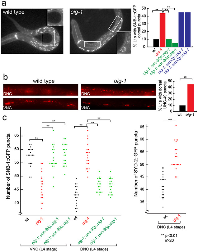 Figure 3: