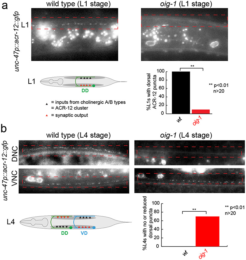 Figure 4: