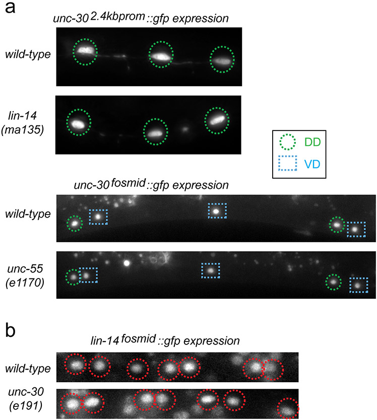 Extended Data Figure 3: