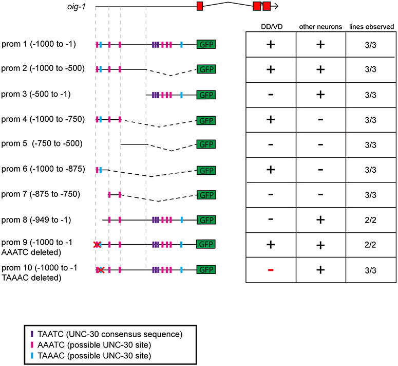 Extended Data Figure 4: